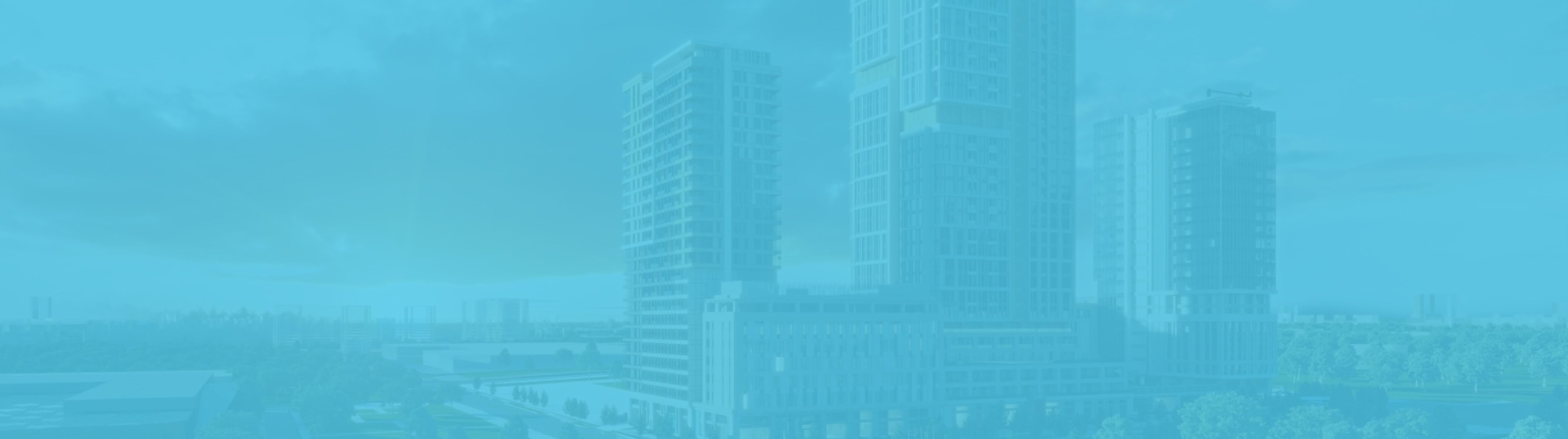 Business & Professional Services